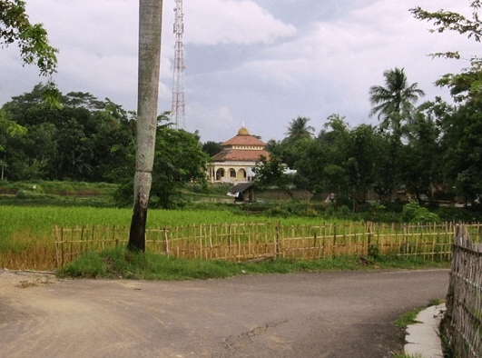 tampak jauh Masjid PonPes Darul Ulum Bakan Pojok, Cintaasih